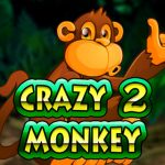 Crazy-Monkey-2_512х320