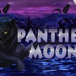 Panther Moon